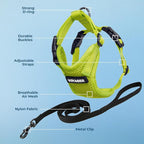 Voyager Step-in Lock Adjustable Cat Harness w. Cat Leash Combo Set with Neoprene Handle 5ft - Supports Small, Medium and Large Breed Cats by Best Pet Supplies - Lime Green, XXS