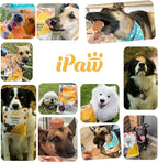 iPaw Chicken Chips Dog Treats for Puppy Training, All Natural Human Grade Dog Treat, Hypoallergenic, Easy to Digest (Chicken Chips)