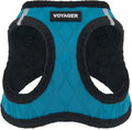 Best Pet Supplies - All Weather Mesh / Plush, Reflective, No Pull Harness for Small, Medium Dogs, Cats - Secure with Hook & Loop Fastener, Buckle, Double D-Rings - Turquoise Plush, S