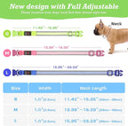 YFbrite Full Adjustbale LED Dog Collar, Full Illuminated Light up Dog Collars, Reflective Dog Collar Light Glowing in The Dark for All Dogs Safety (Medium, Blue-2)