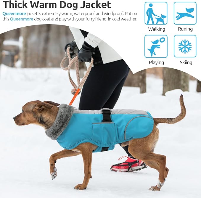Queenmore Dog Cold Weather Coats, Fleece Collar Dog Apparel for Cold Weather, Pet Snowsuit, Cozy Winter Jackets for Large Breeds with Quick Release, Blue, XXL