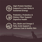 Wellness CORE Dry Dog Food, Grain-Free, High Protein, Natural, Wild Game Duck, Lamb, Wild Boar, & Rabbit Recipe, (12-Pound Bag)