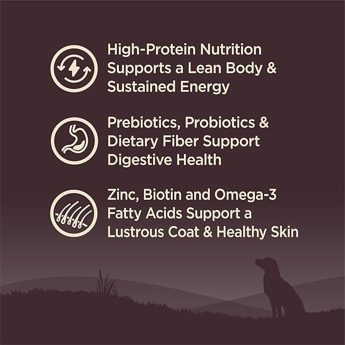 Wellness CORE Dry Dog Food, Small Breed, Grain-Free, High Protein, Natural, Original Turkey & Chicken Recipe, (12-Pound Bag)