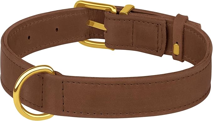 Leather Dog Collar - Heavy Duty Adjustable Soft Padded Pet Collars for Small Medium Large Dogs Breed - Black Green Brown Pink Red Blue (Cognac, XL, 19"-24" Neck Fit)