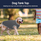 IECOii 2 Pack Large Dog T-Shirt | Non-Restrictive Fit for Running, Breathable Summer Wear - Non-stuffy Design - Keeps Pups Comfortable in Hot Weather, Grey+Blue, 2XL