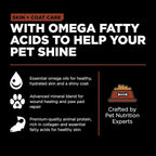 Go! Solutions Skin + Coat Care, Dry Dog Food, Large Breed Adult Salmon Recipe with Grains, 12 lb Bag