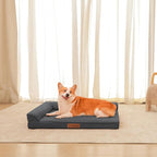 Orthopedic Dog Beds Large Sized Dog, Memory Foam Pet Bed for Medium and Large Dogs, Removable and Washable Microsuede Cover, TPU Waterproof Liner, Nonskid Bottom, 36x27x6 Inches, Dark Grey