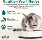 Dave's Pet Food Grain Free Wet Cat Food Gravy (Turkey & Giblets Dinner in Gravy), Made in USA Naturally Healthy Canned, Added Vitamins & Minerals, 5.5 oz Cans (24 Pack)