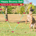 PUPTECK Squeaky Tennis Balls for Dogs - Christmas Dog Rubber Ball Toys 12 Pack, Interactive Dog Training Bounce Toys for Holiday, 2.5 inches