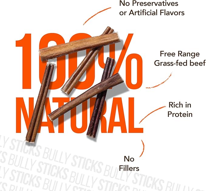 FOODIEPAWS Bully Stick Bites for Dogs, 1 lb Bulk Pack (2-3 Inch) | Training Treats | All Natural, Grass-Fed Beef Pizzle | Grain-Free, Rawhide-Free & Fully Digestible | High Protein Dental Chews
