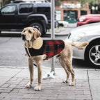 Winter Coat for Small and Medium Dogs, Puppy Plaid Jacket, Cotton Coat for Cold Weather, Windproof Warm Dog Garments, Pet Thickened Outfits Indoor Outdoor, Red XL