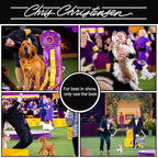 Chris Christensen Karben II Slicker Brush for Dogs, Groom Like a Professional, Ideal For All Coat Types, Remove Shedding Coat, Tangles and Dead Undercoat, 17 mm Stainless Steel Pins, Small