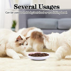 Cat Food Bowl, Healthy Ceramic Cat Food and Water Bowl for Indoor Cat, Puppies, Anti Whiskers FatigueCat Dishes Set, Shallow Cat Food Dish for Wet Food, Cat Treat Plate, Dishwasher Safe, 5 Pcak