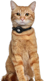 OOPSDOGGY Leather AirTag Cat Collar with Bell - Non Breakaway Kitten Collar with Apple Air Tag Holder - Lightweight GPS Pet Collars for Girl Boy Cats, Small Dogs, Puppies (Black)