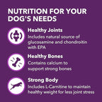 IAMS Advanced Health Mobility Support Chicken and Whole Grain Recipe Adult Dry Dog Food, 6 lb. Bag