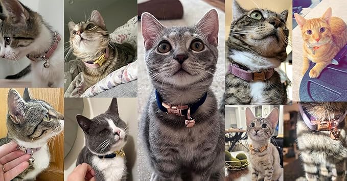 Personalized Cat Collar with Bells,Velvet Customized Small Cat Collar with Name Tag,Pet Collar with Name Phone Number Engraved ID Tags for Boy and Girl Kitten Cats (Christmas Green)