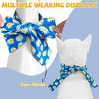 SCENEREAL Summer Daisy Floral Dog Bandana, Double Side Dog Scarf for Small Medium Large Dogs Cats Puppy,Holiday Bandanas for Dogs Boys Girls, Premium & Soft Fabric Pet Accessories for Birthday