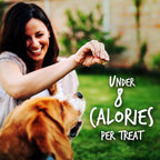 Fruitables Baked Dog Treats, Healthy Pumpkin Treat for Dogs, Low Calorie & Delicious, Free of Wheat, Corn and Soy, Made in the USA, Apple and Crispy Bacon Flavor, 12oz