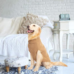 Mihachi Turtleneck Dog Sweater - Winter Coat Apparel Classic Cable Knit Clothes with Leash Hole for Cold Weather, Ideal Gift for Pet in New Year Beige 2XL
