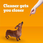 Pedigree Dentastix Dual Flavor Small Breed Dog Treats, Bacon & Chicken, 17.78 oz. Bag (84 Treats)