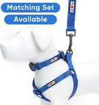 Pawtitas Personalized Dog Leash Embroidered Customize with Your Pet Name & Phone Number Puppy 6 ft Long Extra Small Blue Custom Engraved Blue ✅ Solid Customized 2XS (Pack of 1)
