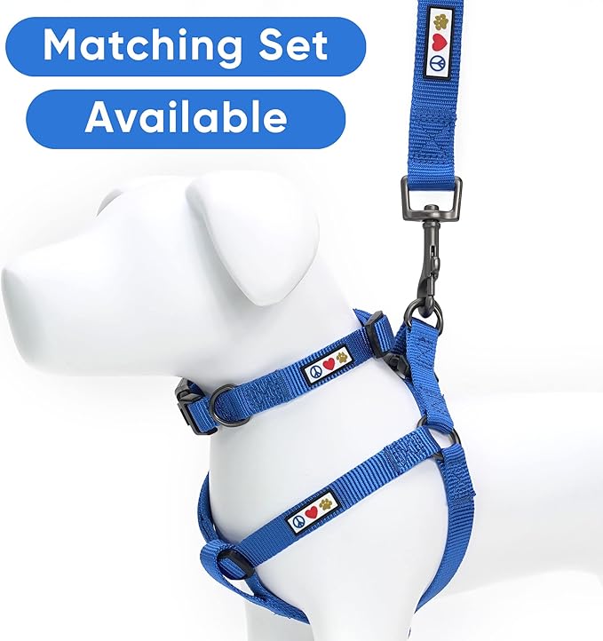 Pawtitas 6 FT Solid Color Leash for Puppy & Cat Training - Extra Small, 6 ft or 1.8 m, Blue