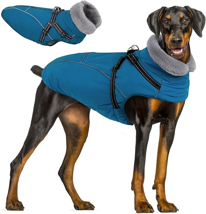 Queenmore Large Dog Coat,Dog Jacket for Extra Large Dogs with Harness Built in,Reflective Waterproof Dogs Jackets with Fleece Lining,Warm Snowsuit Pet Coats for Doberman,Labrador,Blue,XXL