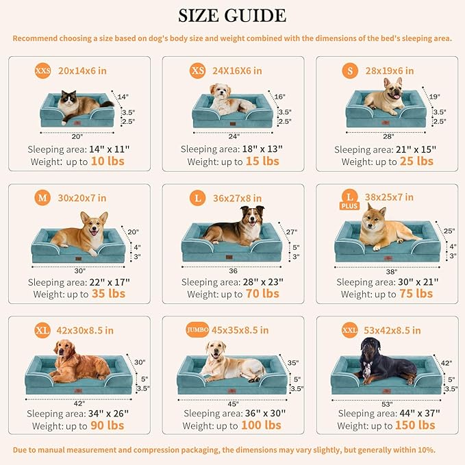 Comfort Expression Orthopedic Dog Bed for Small Dogs 24x16 Inch, Waterproof Supportive Egg Crate Foam Small Pet Bed with Removable Bolster, Dog Couch with Washable Cover & Non-Slip Bottom, Washed Blue