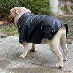 Lovelonglong Cool Dog Leather Jacket, Warm Coats Dogs Windproof Cold Weather Coats for Pugs Bulldog Pitbull Black B-M