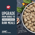 Instinct Freeze Dried Raw Meals, Natural Dry Dog Food, Grain Free - Real Beef, 14 oz. Bag
