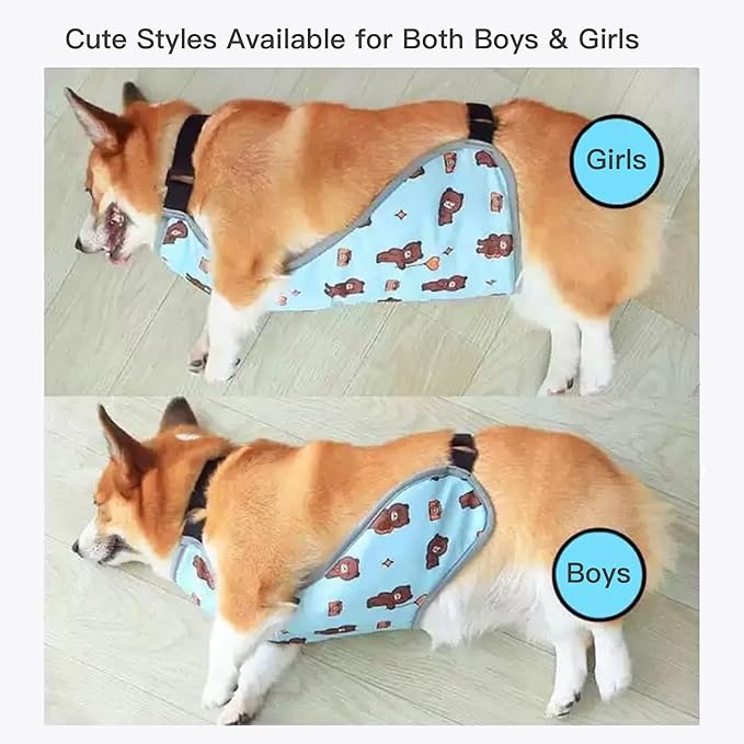 Waterproof Belly Shield for Corgis & Dachshunds – Adjustable underbelly Protector. Male/Female Designs. Stays Dry in rain, mud & Grass. Ideal for Sensitive Skin (Blue - Female, XS)