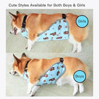 Waterproof Belly Shield for Corgis & Dachshunds – Adjustable underbelly Protector. Male/Female Designs. Stays Dry in rain, mud & Grass. Ideal for Sensitive Skin (Blue - Male, L)