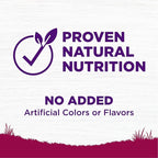 Wellness Complete Health Small Breed Dry Dog Food with Grains, Natural Ingredients, Made in USA with Real Turkey, For Dogs Up to 25 lbs (Adult, Healthy Weight Turkey & Rice, 4-Pound Bag)