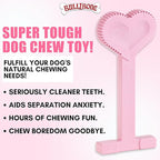 Bullibone Nylon Dog Chew Toy Nylon Bone - Improves Dental Hygiene, Easy to Grip Bottom, and Permeated with Flavor (Peppermint, Large - 2 Pack)