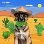 No Stuffing 3 Pack Squeaky Dog Toys- 2 in 1 Interactive Plush Dog Toy- Cactus Shaped Rip and Reveal Toy for Puppies-Indoor & Outdoor Play Training & Toss & Play