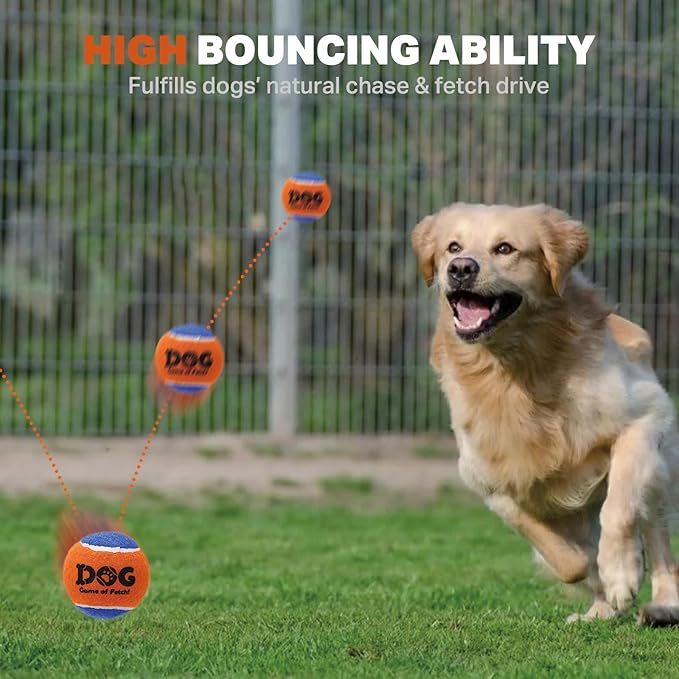 AMA SPORT Squeaky Tennis Balls for Dogs 2.5" Small Medium Dog Tennis Balls for Throwing and Fetching Dog Toys for Training, Exercise, High Bouncing 4 Pack (Orange Light Blue)