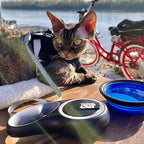 Travel Cat Retractable Expandable Leash - Black 10 Ft Long Strong Tape, Release/Lock Button and Anti-Slip Handle for Small to Large Cats - Light Pet Leash for Walking, Training