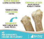 Raw Paws Compressed Rawhide Bones for Medium Dogs (10 Pack) - Natural Raw Hides Medium Dogs - Single Ingredient Dog Chews - Dog Bones for Aggressive Chewers