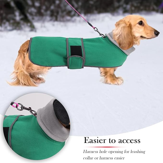 Geyecete Dachshund Sweaters - Dachshund Dog Jacket, Winter Coat with Padded Fleece Lining, High Collar, Adjustable Sizes - Green - M