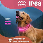 DOGWONG LED Dog Collar - Heavy Duty Light up Collars - Rechargeable Waterproof - Lighted Dog Collar for Night Walking, Hiking, Camping(Pink,S)