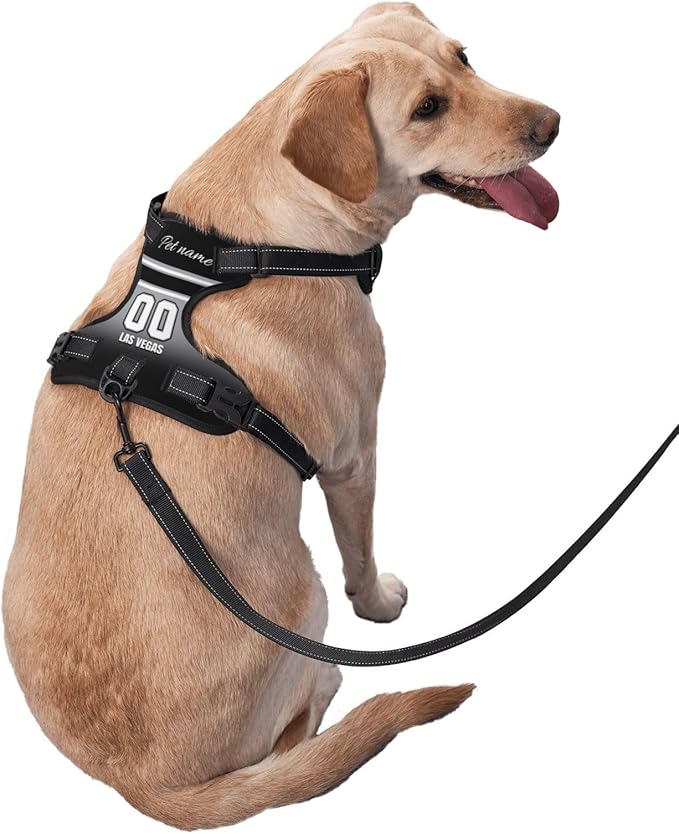 Custom Las Vegas Dog Harness with Reflective Stripes Personalized Name and Number Dog Vest Harness with Pet Traction Rope for Small Medium Large Dog
