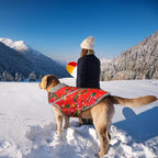 VIVAGLORY Snowrap Dog Coat, Jacket with Harness Hole & Velcro Closure, Dog Coat for Winter & Cold Weather, Fluffy Warm Fleece Lined Reflective Water Resistant for Puppy, XXS, Northeast Florals-Red