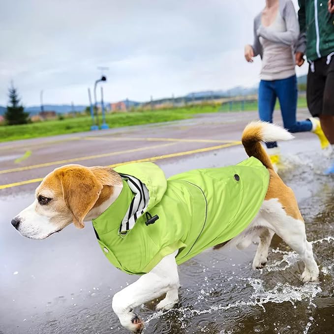 Dog Raincoat Waterproof Raincoats Dog rain Jacket Buttons Zipper Hood Drawstring Suitable for Small Medium Yorkie Terrier Schnauzer Poodle Border Collie Labrador 8lbs to 80lbs Green M