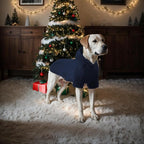 Basic Dog Hoodie, Soft Premium Quality Dog Hoodie Sweater with Leash Hole and Pocket, Cotton Doggy Puppy Sweatshirt Fashion Outfit for Dogs Puppy Small Medium Large - Navy Blue (Small)