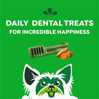 Greenies Teenie Dental Dog Treats, Sweet Potato Flavor, 36 oz. Pack (130 Treats)