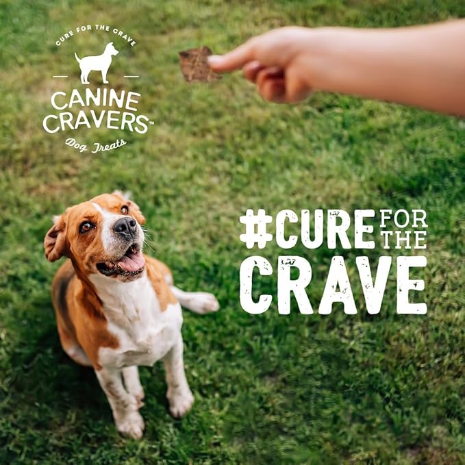 Canine Cravers Single Ingredient Dog Treats – Premium Lamb Fillets - Human Grade Air Dried Hypoallergenic Pet Food – Grain, Gluten, and Soy Free – 100% All Natural – 5.3 oz (Pack of 2)