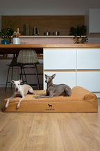 NOAH & PAW Large Dog Bed, 35x25x8.7 Inch, Orthopedic Dog Beds, Eggshell Memory Foam Infused with Cooling Gel, Waterproof, Machine Washable, Includes Inner Cover (Faux Leather)