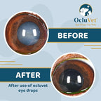 Eye Drops for Pets | Clinically Studied Antioxidants for Pets with Cataracts | Made in The USA | Includes 2% N-Acetyl-L-Carnosine (NAC) | 16mL