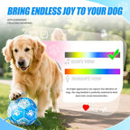 Size 2 Blue Dog Soccer Ball with Straps Eye-Catching Bone and Paw Print Design, Ultra-Durable Training Ball for Pets Interactive Outdoor Dog Toy, Perfect for Small to Medium Puppies