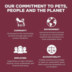 Go! Solutions Sensitivities Limited Ingredients, Grain-Free Dry Dog Food, Lamb Recipe for Sensitive Stomach, 22 lb Bag